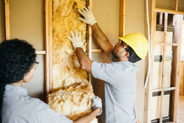 Best Fiberglass Insulation  in Strasburg, CO